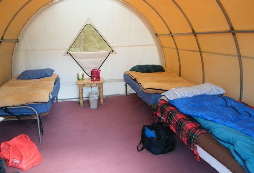 ホテル Bedroll And Breakfast  Campground