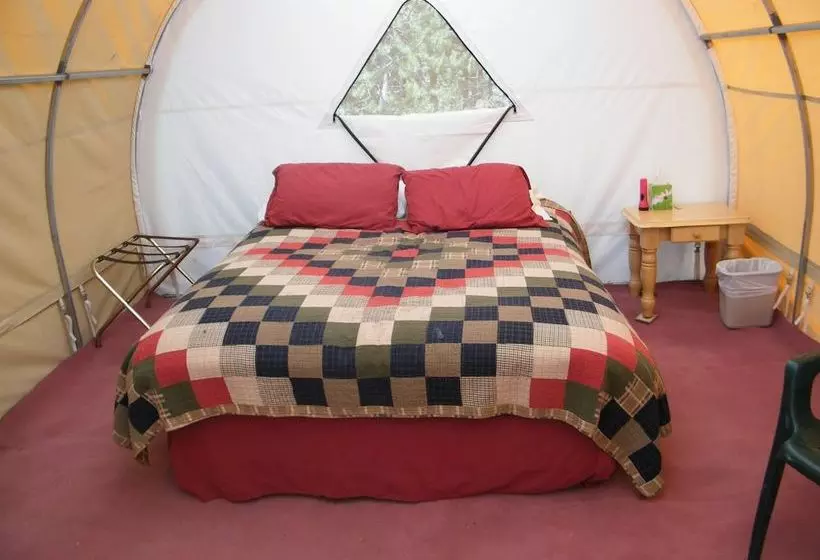 هتل Bedroll And Breakfast  Campground