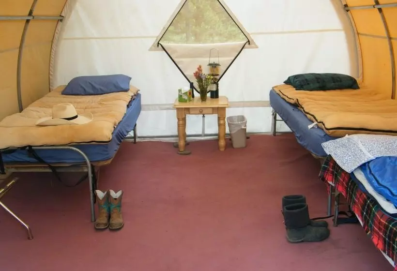 هتل Bedroll And Breakfast  Campground