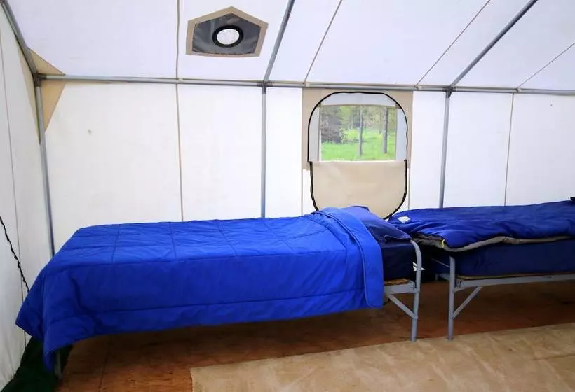 هتل Bedroll And Breakfast  Campground