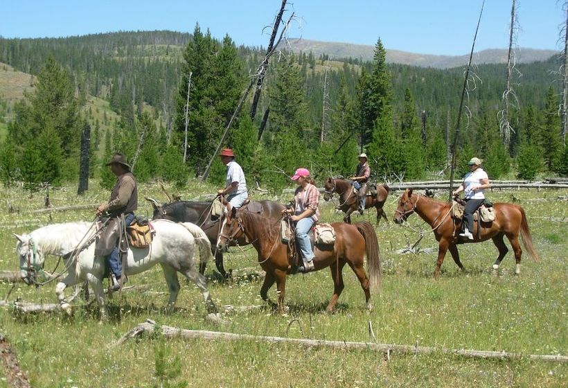 ホテル Bedroll And Breakfast  Campground