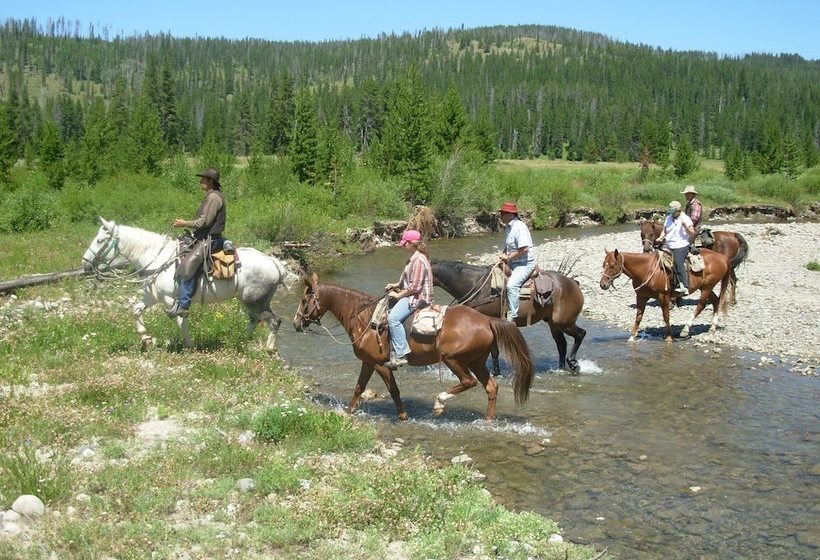 ホテル Bedroll And Breakfast  Campground