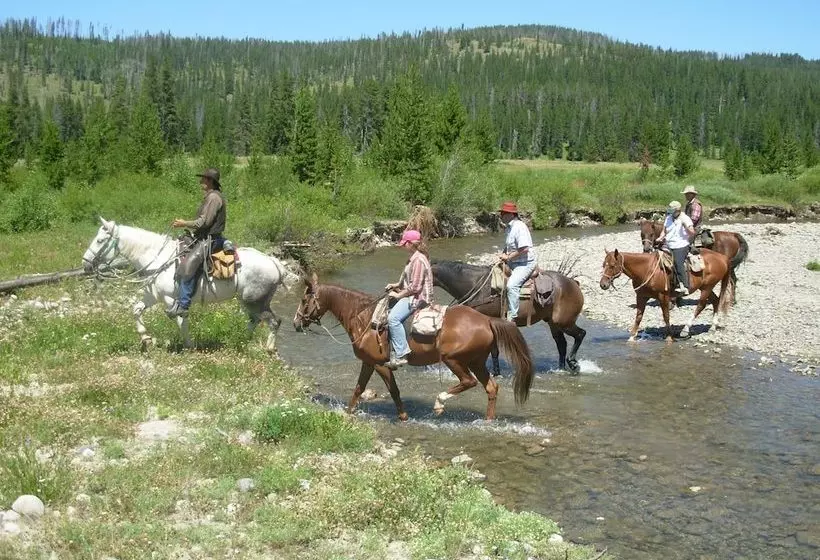 هتل Bedroll And Breakfast  Campground