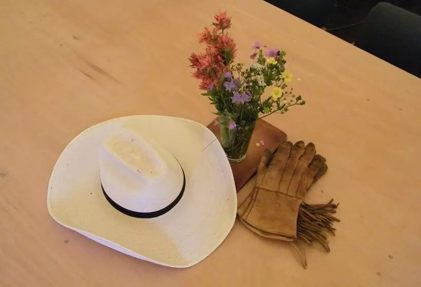 هتل Bedroll And Breakfast  Campground