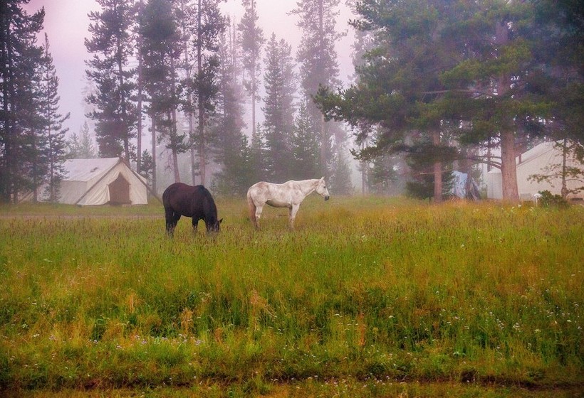 ホテル Bedroll And Breakfast  Campground