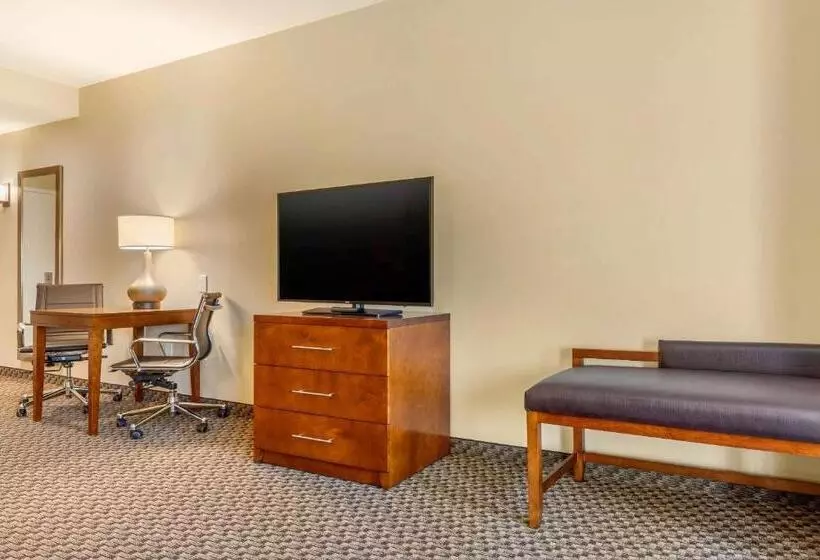 ホテル Comfort Inn & Suites