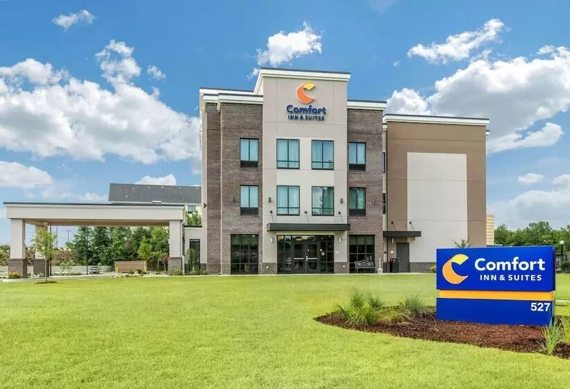 ホテル Comfort Inn & Suites