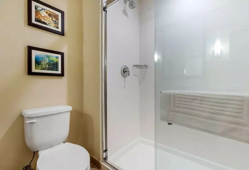 ホテル Comfort Inn & Suites