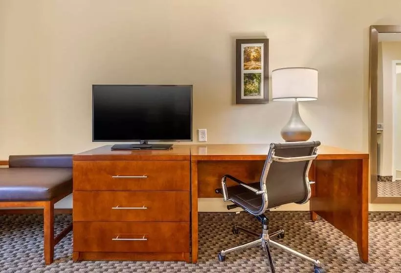 ホテル Comfort Inn & Suites
