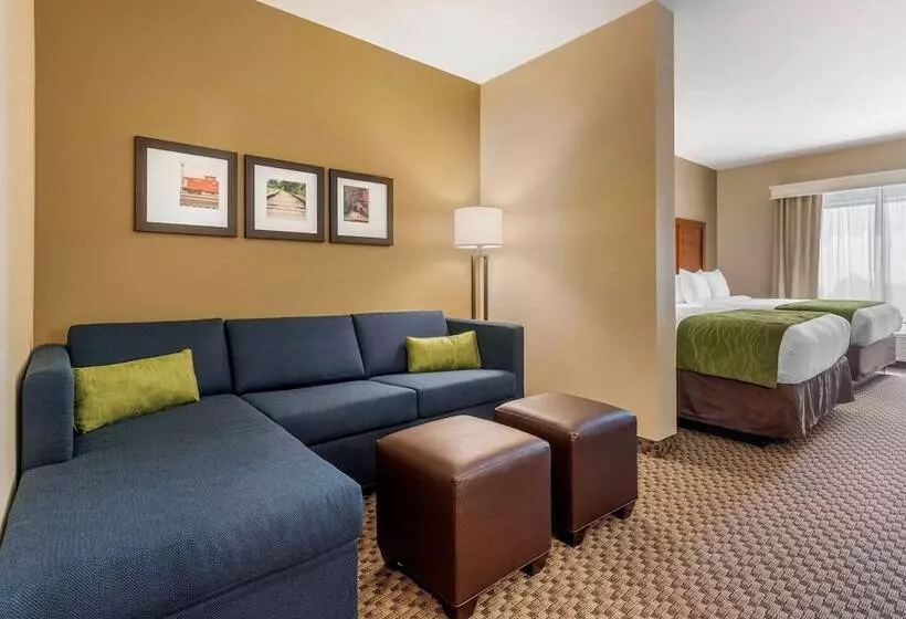 ホテル Comfort Inn & Suites