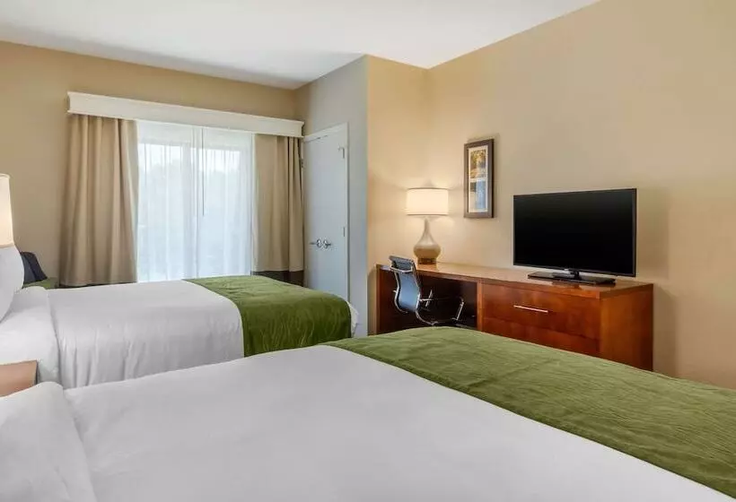 ホテル Comfort Inn & Suites
