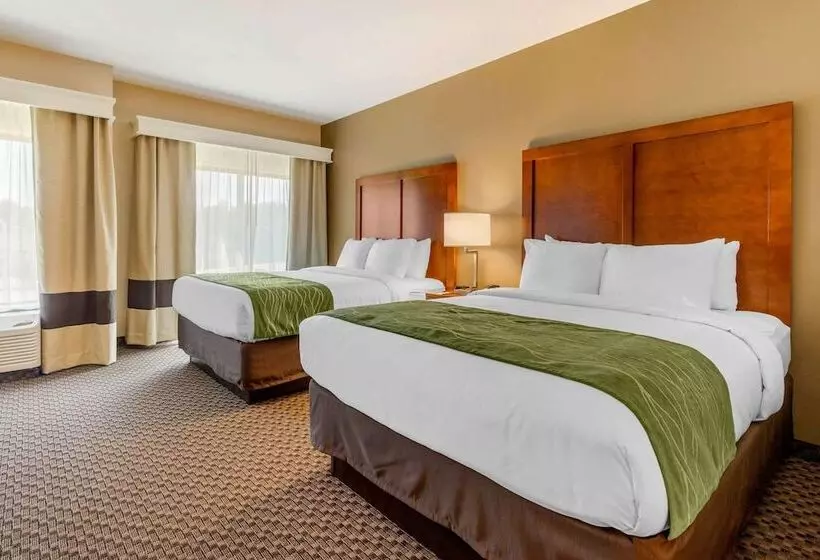ホテル Comfort Inn & Suites