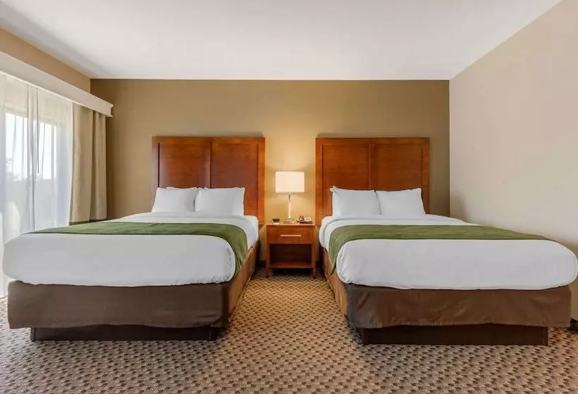 ホテル Comfort Inn & Suites