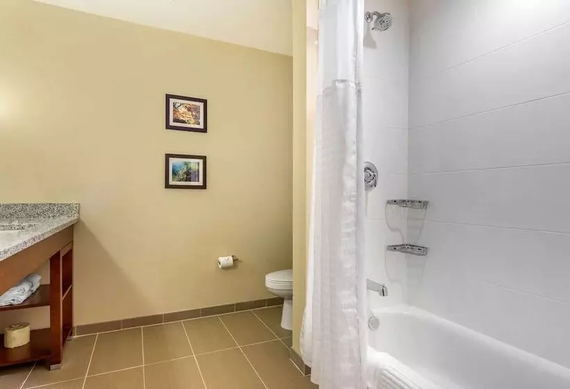 ホテル Comfort Inn & Suites