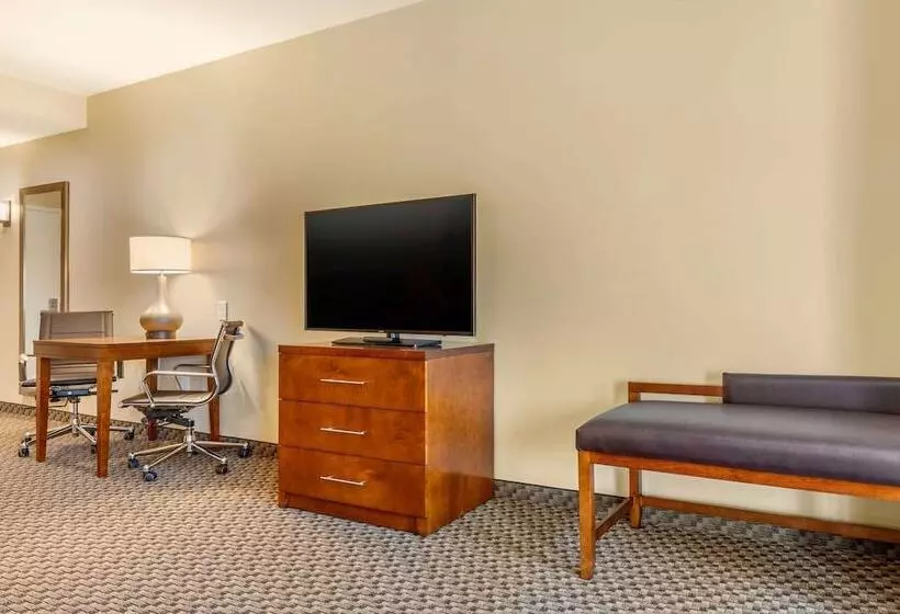 ホテル Comfort Inn & Suites