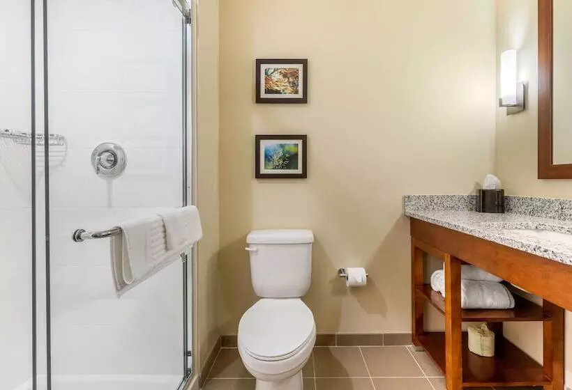 ホテル Comfort Inn & Suites