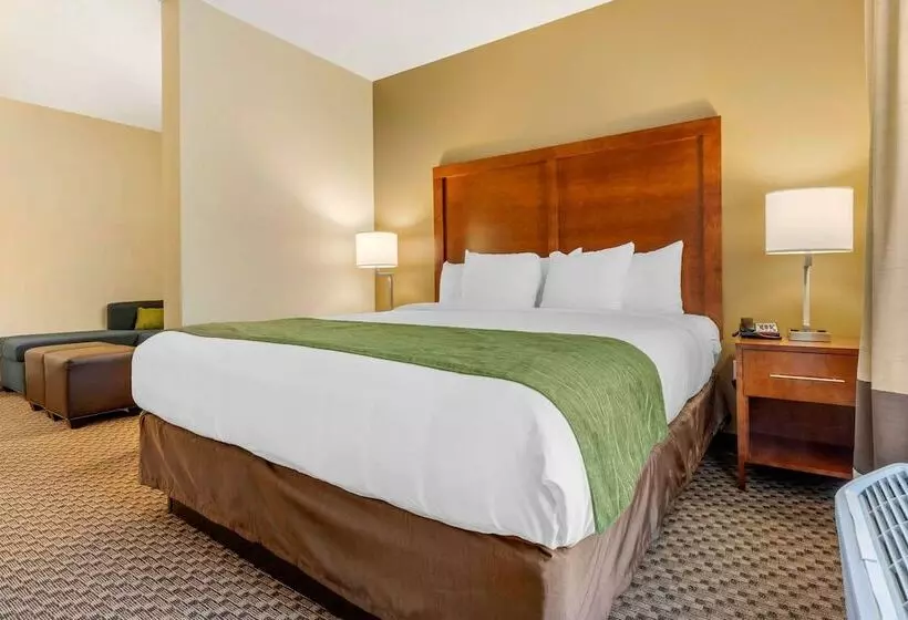ホテル Comfort Inn & Suites
