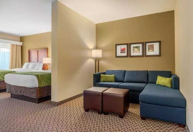 ホテル Comfort Inn & Suites