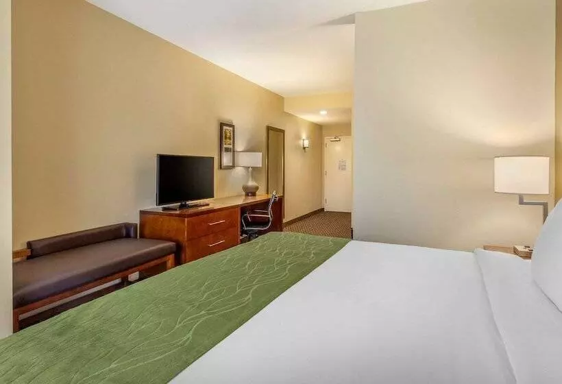 ホテル Comfort Inn & Suites