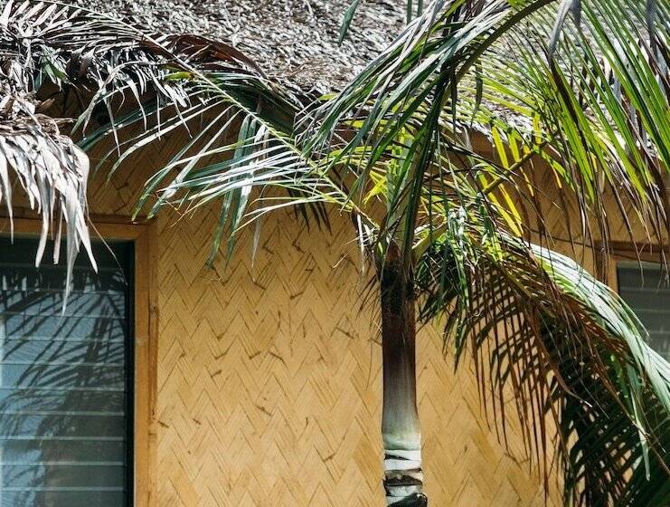 Bamboo Hostel Palawan