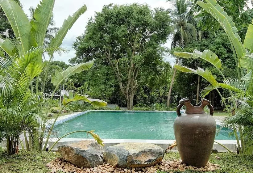 Hotelli Rose Villas Resort