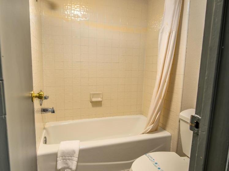 汽车旅馆  Willow Tree Inn