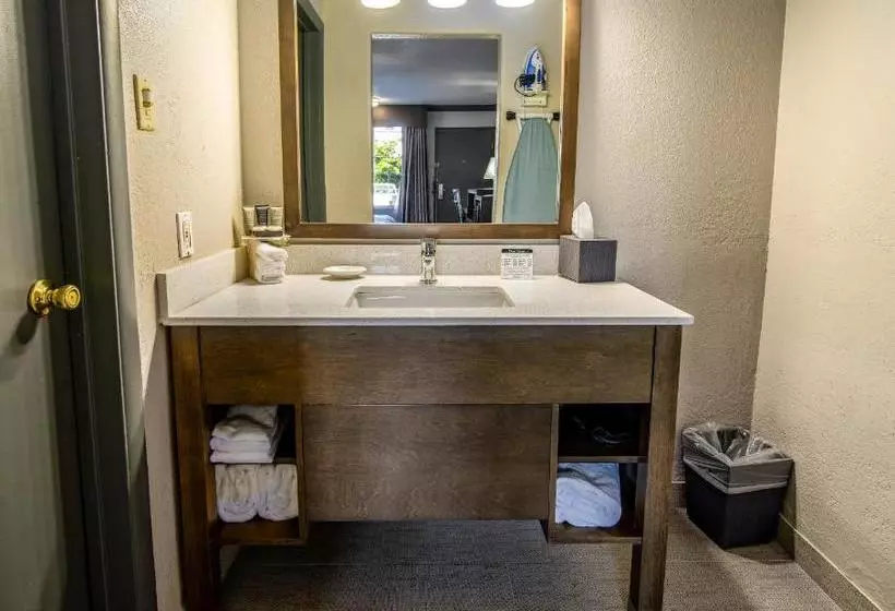 Motelli Willow Tree Inn