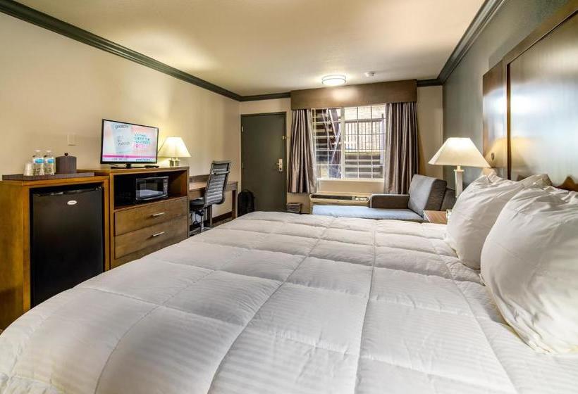 汽车旅馆  Willow Tree Inn