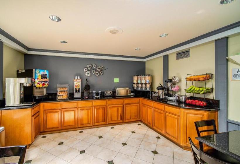 汽车旅馆  Willow Tree Inn