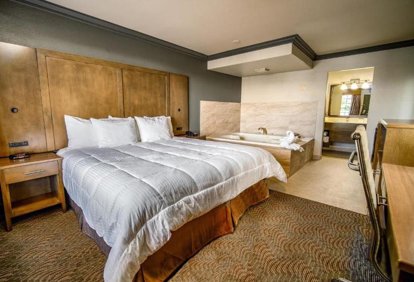 汽车旅馆  Willow Tree Inn