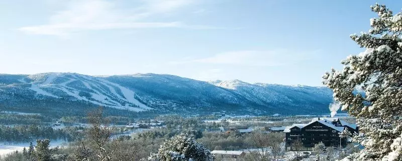 Отель Highland Lodge