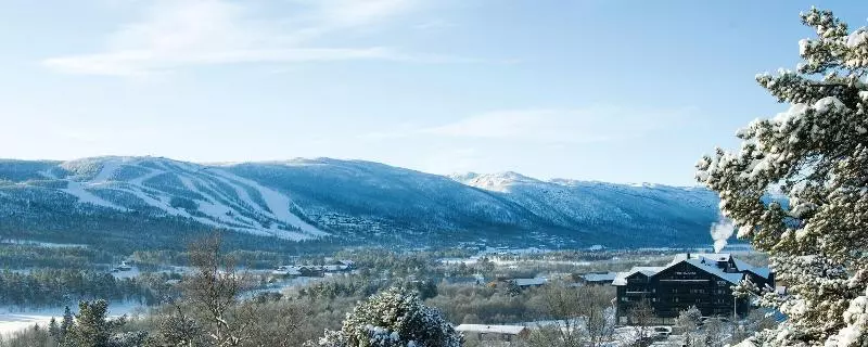 Отель Highland Lodge