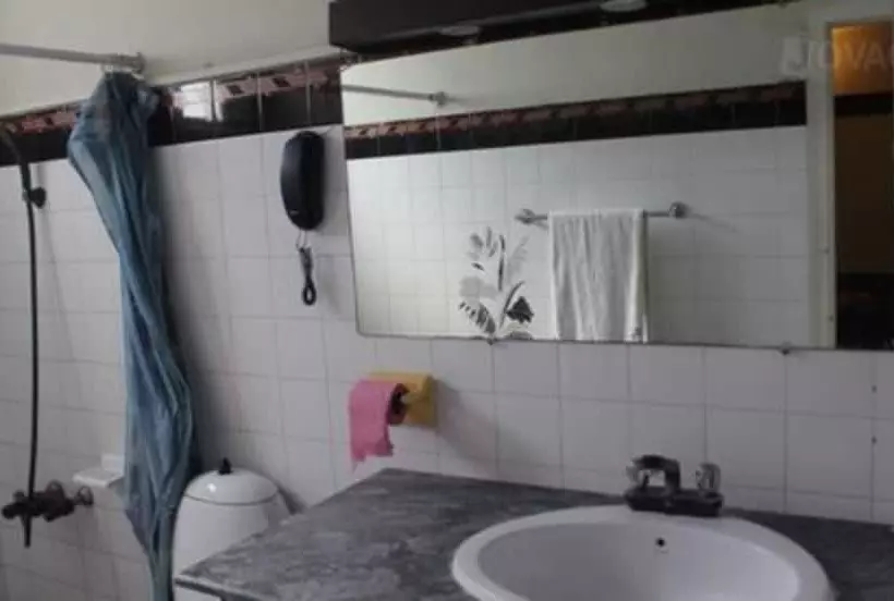 هتل Shelton Green S