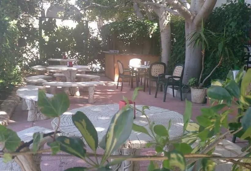 هاستل Hostal Diegos