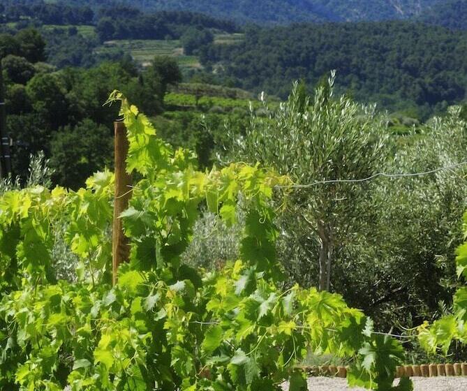 B&b Patios Des Vignes
