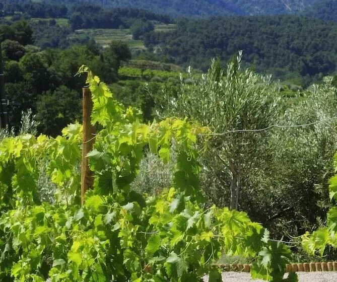 B&b Patios Des Vignes