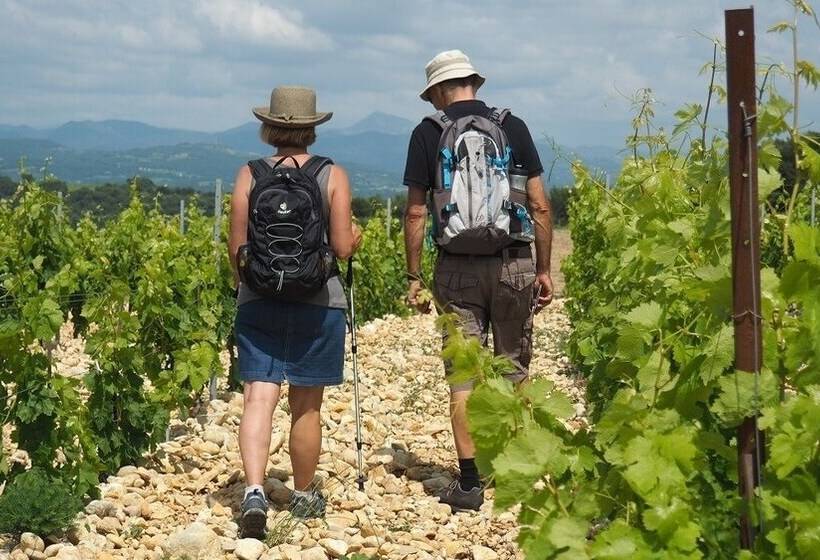B&b Patios Des Vignes