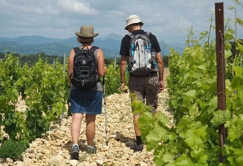 B&b Patios Des Vignes