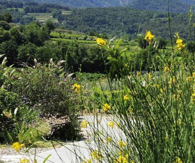 B&b Patios Des Vignes