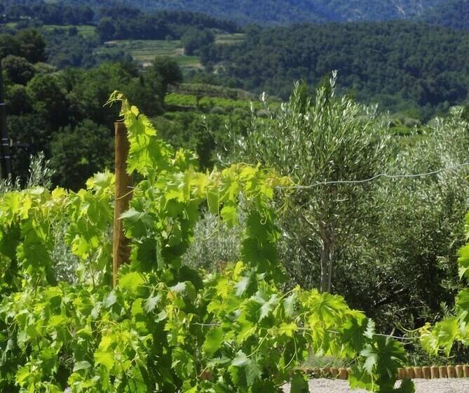 B&b Patios Des Vignes