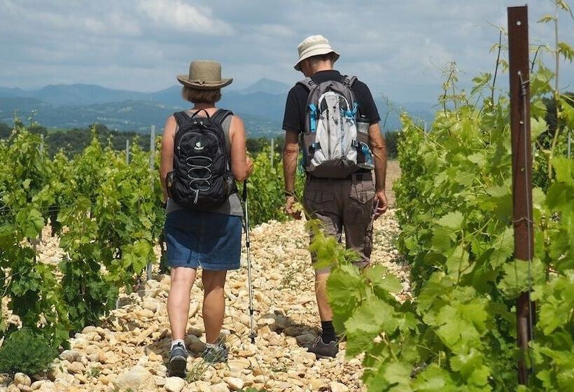 B&b Patios Des Vignes