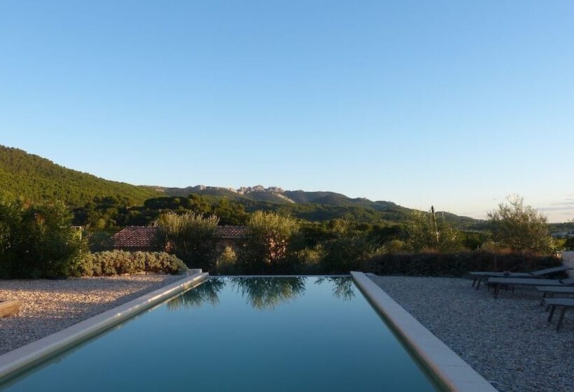 B&b Patios Des Vignes