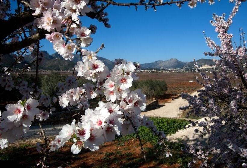 مبيت وإفطار Buena Idea   Adults Only