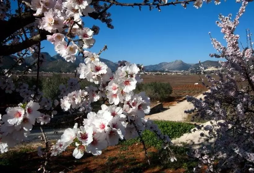 Aamiaismajoitus (B&B) Buena Idea   Adults Only