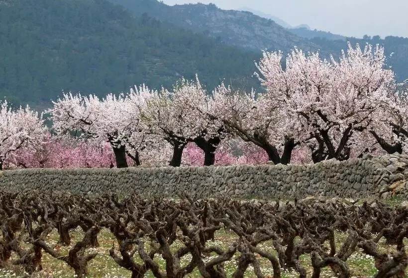 Aamiaismajoitus (B&B) Buena Idea   Adults Only