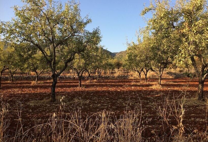 مبيت وإفطار Buena Idea   Adults Only