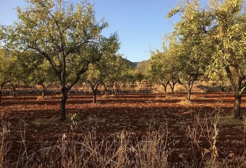 Aamiaismajoitus (B&B) Buena Idea   Adults Only