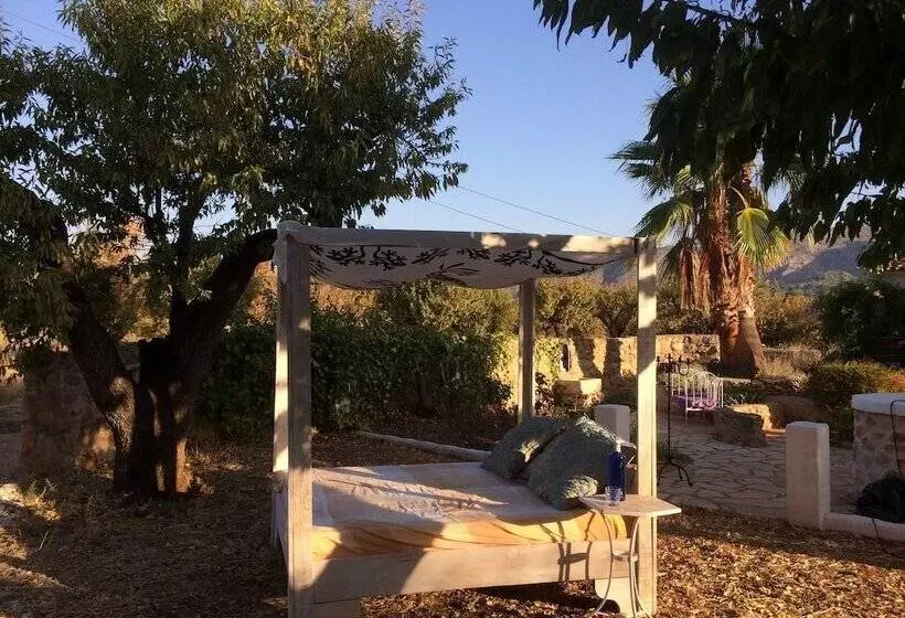 Aamiaismajoitus (B&B) Buena Idea   Adults Only