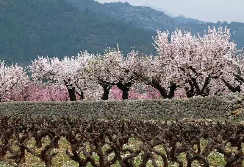 Aamiaismajoitus (B&B) Buena Idea   Adults Only