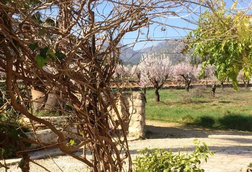 Aamiaismajoitus (B&B) Buena Idea   Adults Only